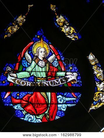 Stained Glass - Angel