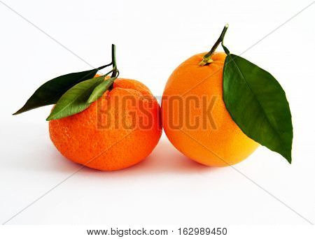 Orange and mandarin pictures on the most beautiful and best white background