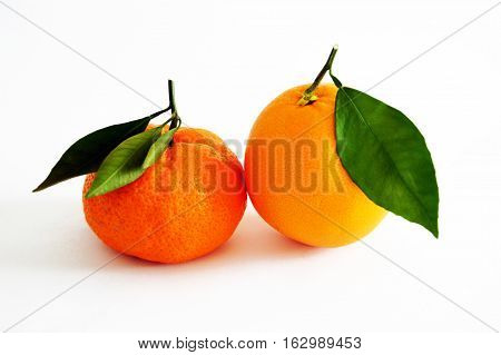 Orange and mandarin pictures on the most beautiful and best white background