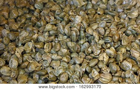 Green Pickled Small Capers Close Up Background