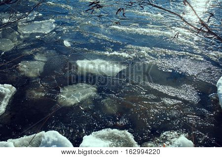 Close-up of ice on a tree in winter