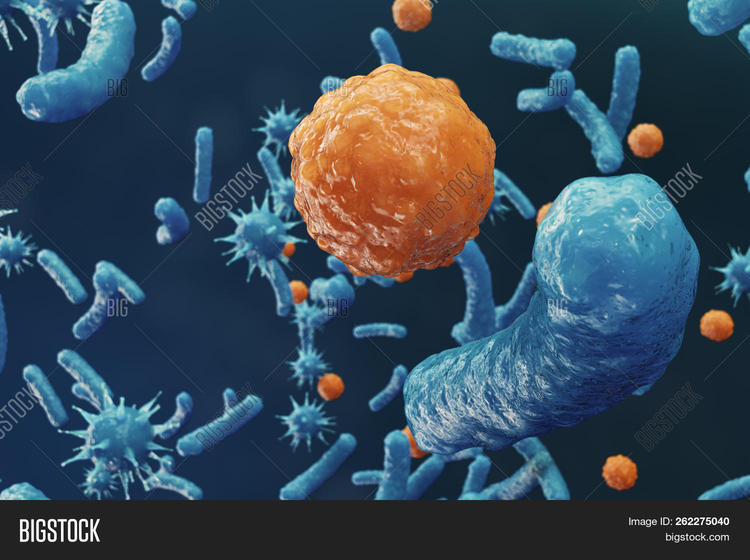 virus in colon virus in colon