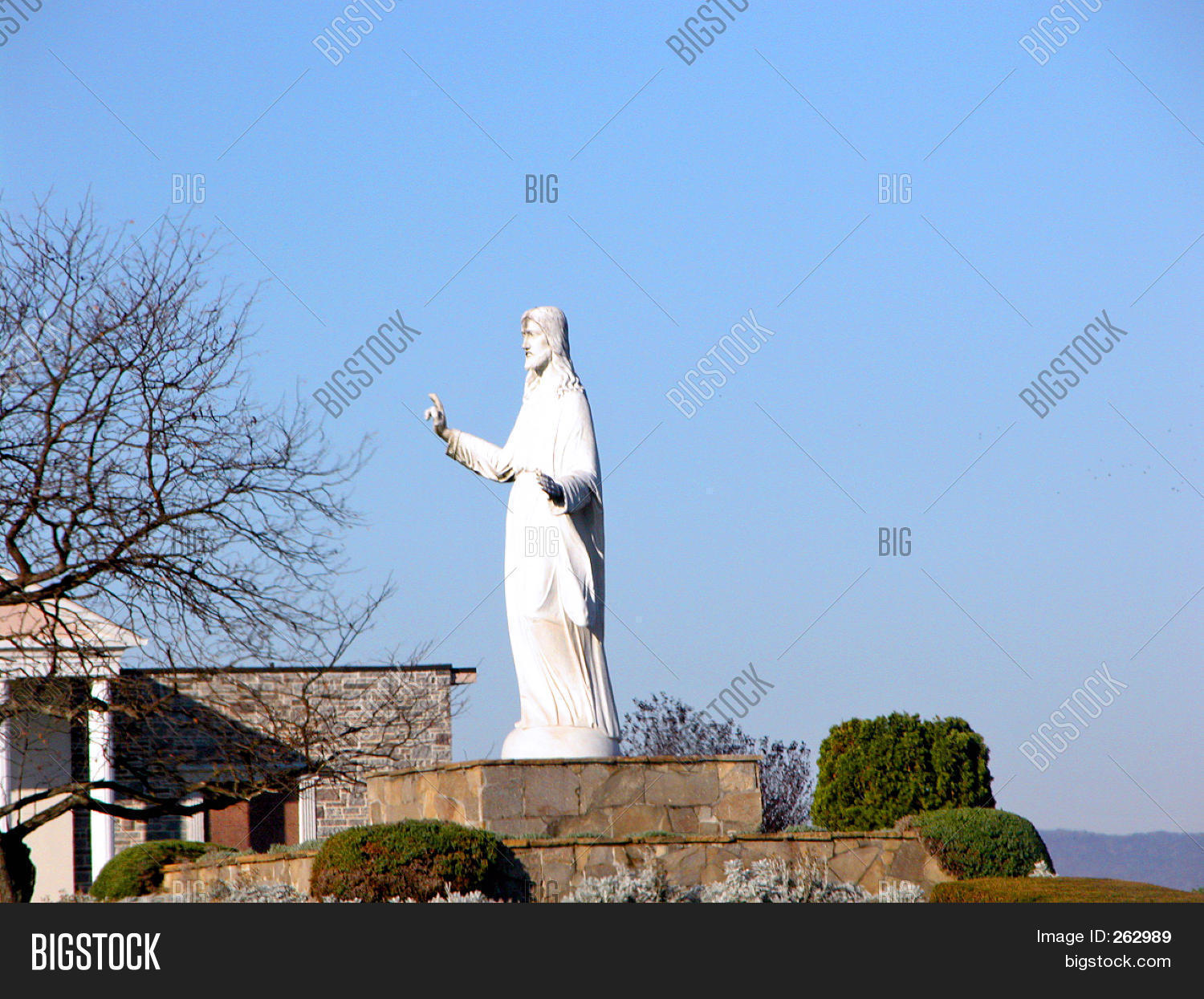 Image Preview