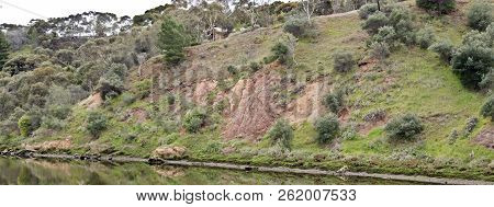 This Is A Scene Of Trees And Bushes In Old Noarlunga Reflected In The River