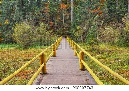 Autumn Landscape - Wooden Bridge In The Autumn Park Among The Yellowed Trees And Fallen Leaves