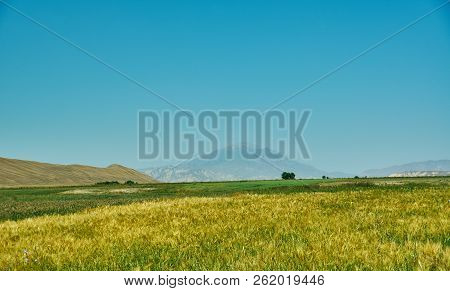 Naryn River Valley, Naryn Region, Tian Shan Mountains In Kyrgyzstan, Central Asia,