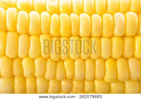 Image Of Yellow Corn Background, Healthy Organic Food, Bio Nutrition, Fresh Ripe Vegetable, Maize Co