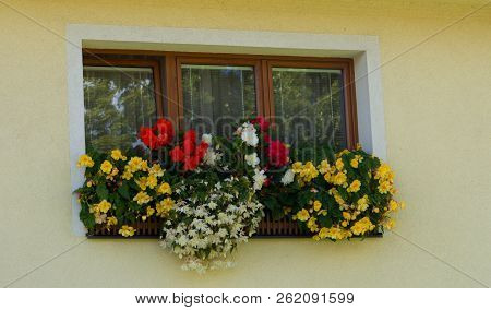 Three-piece Wooden Euro-window / Plastic Window And Boxes With Yellow And Red Begonia.cases With Yel