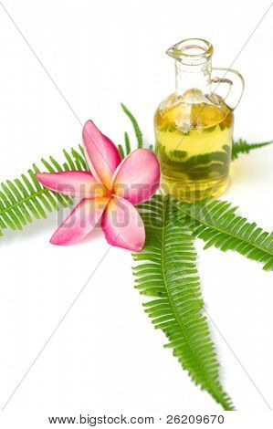 น้ำมัน บ้าน plumeria และเฟิร์นใบหอม