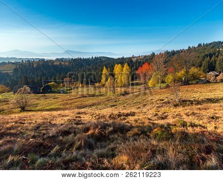 Morning Autumn Slopes (with Colorful Trees) Of Carpathian Mountains (yablunytskyj Pass, Ivano-franki
