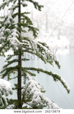 Snow covered landscapes in winter just in time for Christmas and holiday season