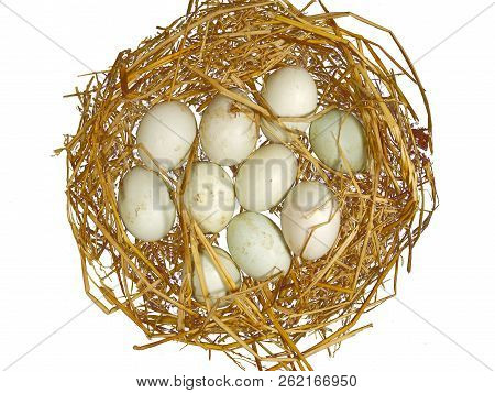 Duck Eggs Are In The Straw. Duckeggs