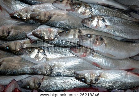 Poissons à vendre dans un marché aux poissons à Kusadasi Turquie