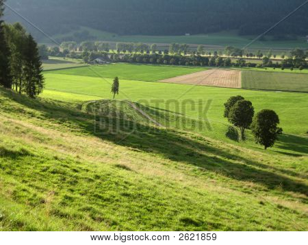 Rural Landscape In Switzerland In The Morning