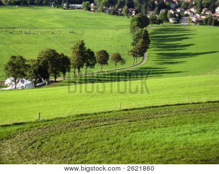 Rural Landscape In Switzerland In The Morning
