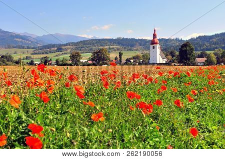 Old Chapel In The Field Of Wild Red Flowers