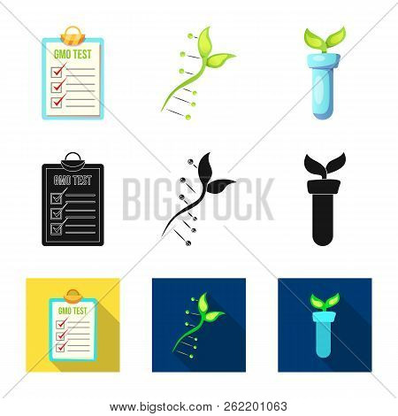 Isolated Object Of  And  Logo. Collection Of  And  Vector Icon For Stock.