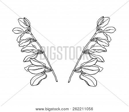 Vector Decorative Branch Of Green Leaves With Streaky