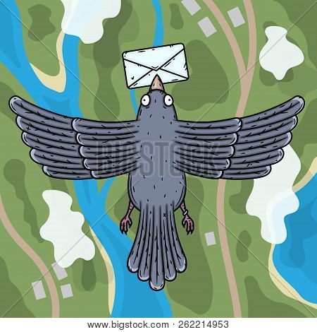 Carrier Pigeon. Pigeon Postman With A Letter In His Beak. Top View.