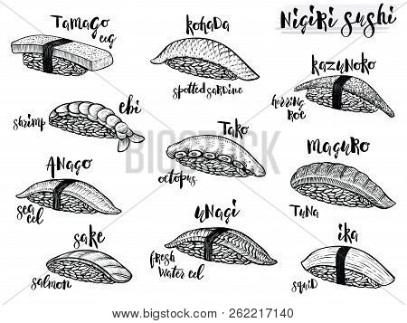 Nigiri Sushi Species. Isolated Line Sushi Illustrations On White Background. Japanese Food.