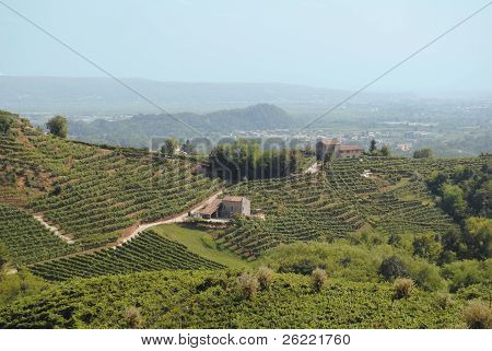Valdobbiadene Hills