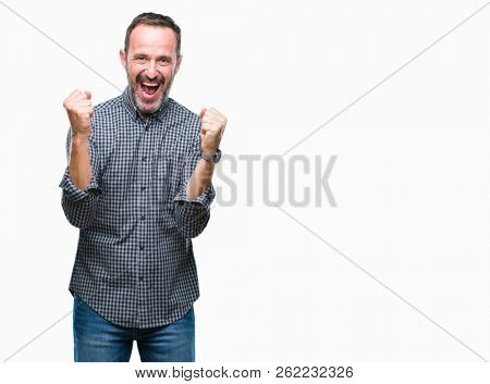 Middle age hoary senior man over isolated background celebrating surprised and amazed for success with arms raised and open eyes. Winner concept.