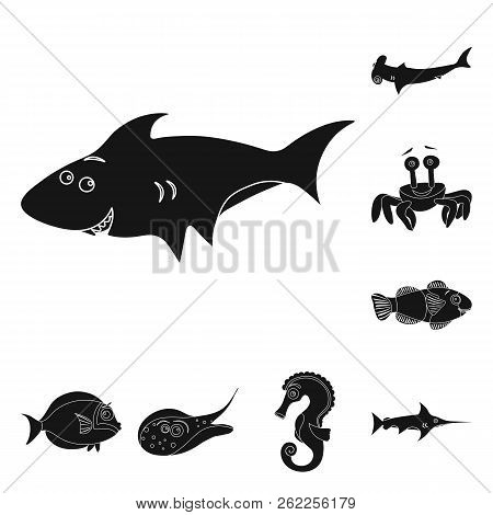 Vector Design Of Sea And Animal Sign. Collection Of Sea And Marine Stock Vector Illustration.