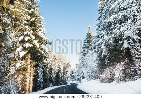 Winter Road Withsnow-covered Trees. Beautiful Winter Landscape
