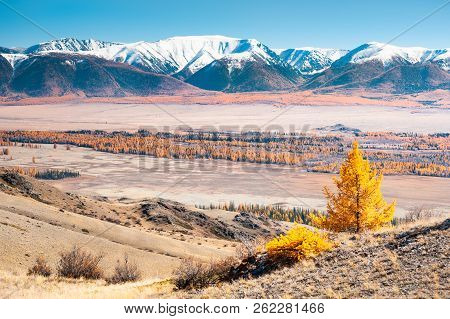 Kurai Steppe In Autumn And View Of North-chuya Ridge In Altai Mountains, Altai Republic, Siberia, Ru