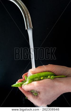 Women Hands Rincing Garden Peas With Runing Water. Healthy Food Concept.