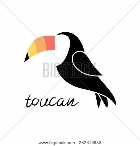 Toucan Bird Vector Illustration Drawing, Isolated On White Background. Toucan Logo Graphic With Writ