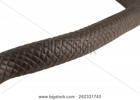 Creeping Wooden Snake Isolated On A White Background.