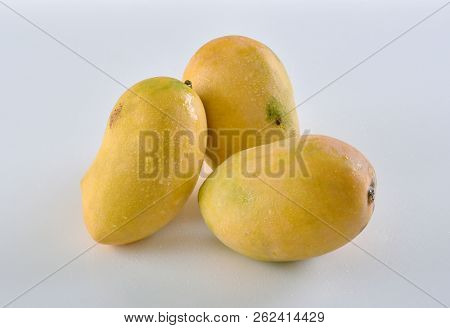 Mango, King Of All The Fruits, Fresh And Healthy Full Of Nutritions.