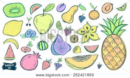 Fruits Doodles Set. Tropical Fruit. Summer. Berry. Scribble Collection. Retro Sketches. Grape. Blueb
