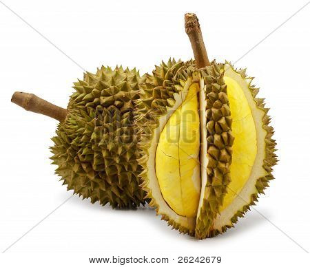 Durian izolované