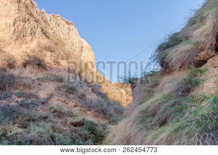 Stanislav's Clay Mountains With Vegetation