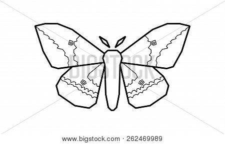 Imperial Moth, Eacles Imperialis Vector Illustration On White
