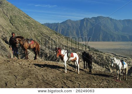 pony ride to Bromo Crater