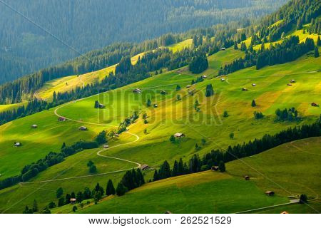 Summer landscape of Switzerland rural country side, near Habkern village