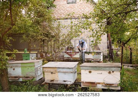 Male Bee-keeper In A Special Protective Suit And A Hat With A Frame For Bees