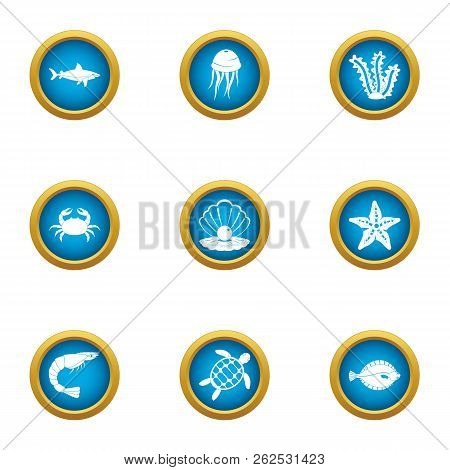 Shallow Icons Set. Flat Set Of 9 Shallow Vector Icons For Web Isolated On White Background