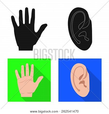 Vector Illustration Of Human And Part Logo. Set Of Human And Woman Stock Vector Illustration.