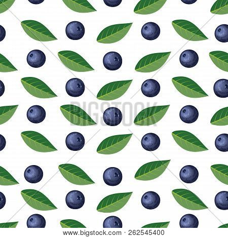Seamless Pattern With Blueberries And Leaves. Vector