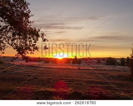 Sunrise Sunset In Golden Autumn In The Luneburg Heath