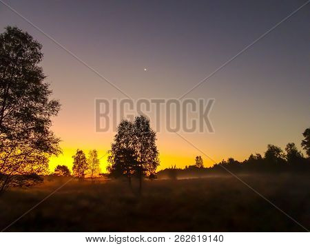 Sunrise Sunset In Golden Autumn In The Luneburg Heath