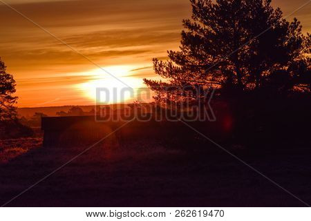 Sunrise Sunset In Golden Autumn In The Luneburg Heath