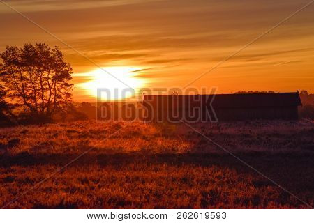 Sunrise Sunset In Golden Autumn In The Luneburg Heath