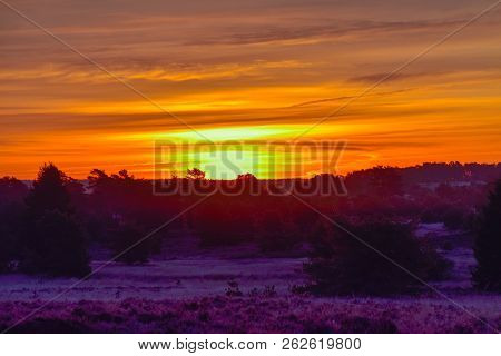 Sunrise Sunset In Golden Autumn In The Luneburg Heath