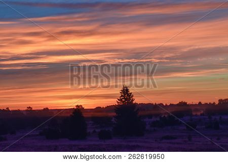 Sunrise Sunset In Golden Autumn In The Luneburg Heath