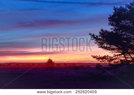 Sunrise Sunset In Golden Autumn In The Luneburg Heath